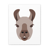 Llama Face Portrait Illustration Canvas