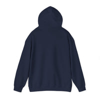 Aztec Buffalo Desert Sunset Silhouette Unisex Hoodie