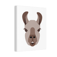 Llama Face Portrait Illustration Canvas