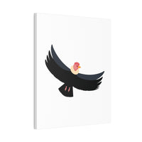 Andean Condor Illustration Canvas
