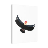 Andean Condor Illustration Canvas