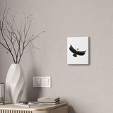 Andean Condor Illustration Canvas