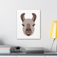 Llama Face Portrait Illustration Canvas