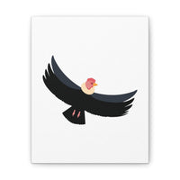 Andean Condor Illustration Canvas