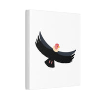 Andean Condor Illustration Canvas