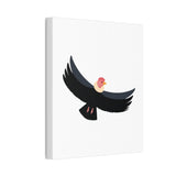 Andean Condor Illustration Canvas