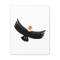 Andean Condor Illustration Canvas
