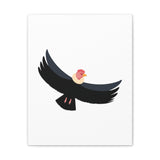 Andean Condor Illustration Canvas